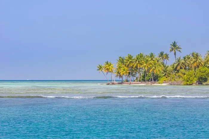 Framed Print : Tropical island beach. Palm trees near blue sea, tranquil nature concept. Exotic beach scenery Framed Print : Tropical island beach. Palm trees near blue sea, tranquil nature concept. Exotic beach scenery
