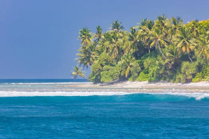 Framed Print : Tropical island beach. Palm trees near blue sea, tranquil nature concept. Exotic beach scenery Framed Print : Tropical island beach. Palm trees near blue sea, tranquil nature concept. Exotic beach scenery