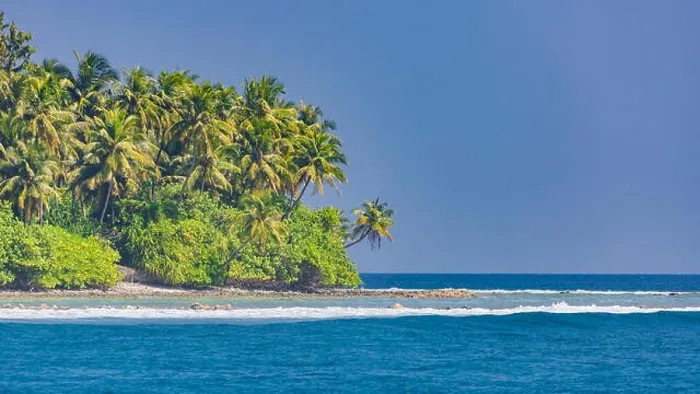 Framed Print : Tropical island beach. Palm trees near blue sea, tranquil nature concept. Exotic beach scenery Framed Print : Tropical island beach. Palm trees near blue sea, tranquil nature concept. Exotic beach scenery