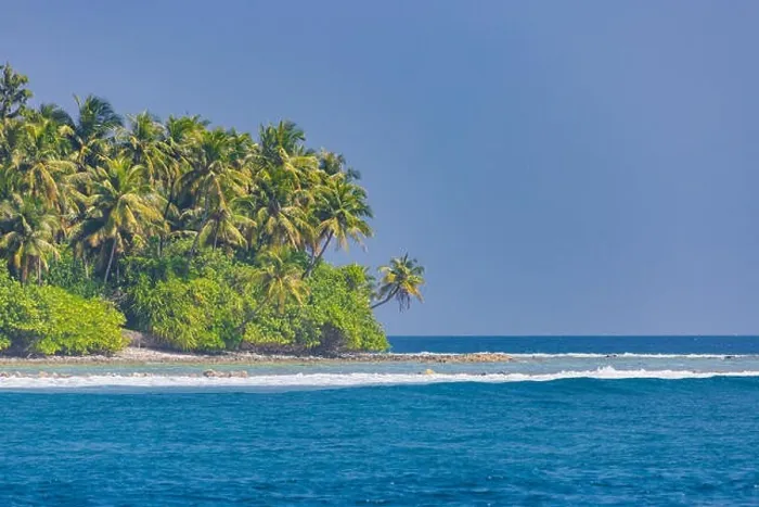 Framed Print : Tropical island beach. Palm trees near blue sea, tranquil nature concept. Exotic beach scenery Framed Print : Tropical island beach. Palm trees near blue sea, tranquil nature concept. Exotic beach scenery