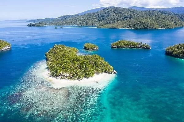 The many tropical islands within Raja Ampat, Indonesia, are surrounded by amazing coral reefs. This region is the center of marine biodiversity