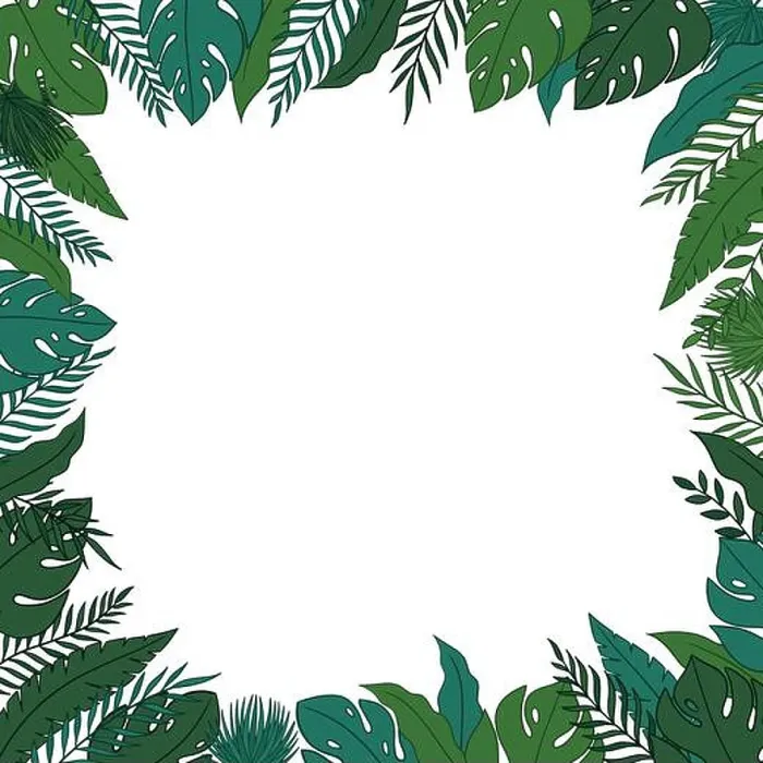 Framed Print : Tropical jungle leaves frame border with a blank space for a text Framed Print : Tropical jungle leaves frame border with a blank space for a text