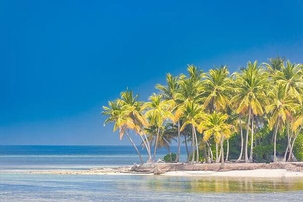 Tropical landscape, palm trees and blue sea. Idyllic beach landscape for banner concept of tropics. Exotic travel destination