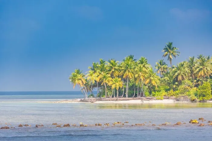 Framed Print : Tropical landscape, palm trees and blue sea. Idyllic beach landscape for banner concept of tropics. Exotic travel destination Framed Print : Tropical landscape, palm trees and blue sea. Idyllic beach landscape for banner concept of tropics. Exotic travel destination