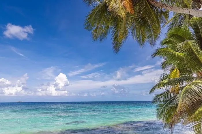 Framed Print : Tropical nature beach, palm tree leaves over exotic seascape with summer vibes. Dream travel vacation beach view, ocean horizon, idyllic scene Framed Print : Tropical nature beach, palm tree leaves over exotic seascape with summer vibes. Dream travel vacation beach view, ocean horizon, idyllic scene