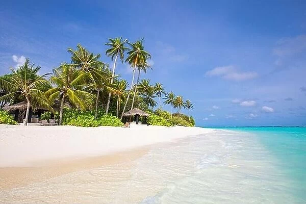 Tropical nature, exotics beach landscape. Paradise island, coast. Calm ocean water under soft blue sky. Tranquil nature