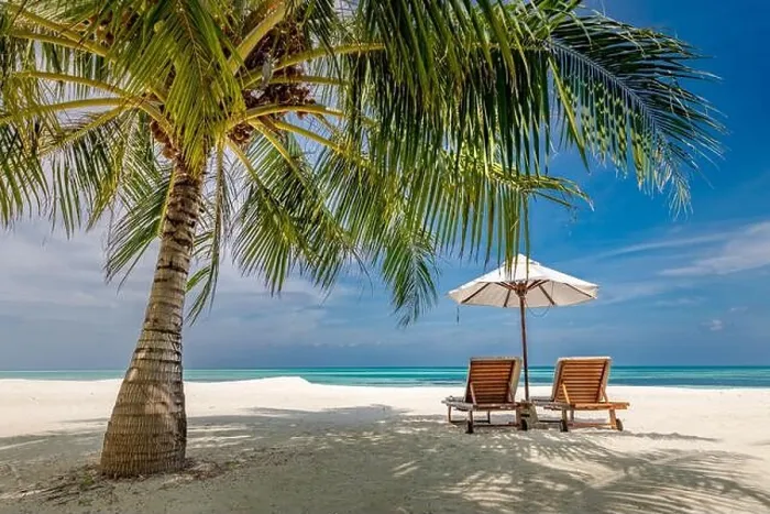 Framed Print : Tropical paradise beach with white sand and coco palms travel tourism wide panorama background. Luxury vacation and holiday banner, tropical beach Framed Print : Tropical paradise beach with white sand and coco palms travel tourism wide panorama background. Luxury vacation and holiday banner, tropical beach