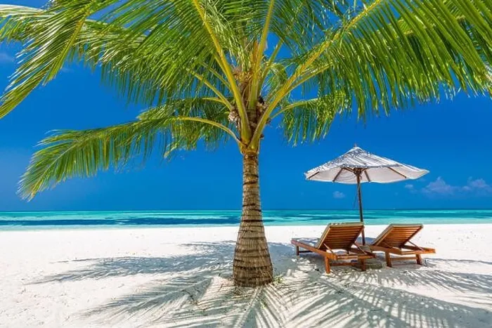 Framed Print : Tropical paradise beach with white sand and coco palms travel tourism wide panorama background. Luxury vacation and holiday banner tropical beach rest Framed Print : Tropical paradise beach with white sand and coco palms travel tourism wide panorama background. Luxury vacation and holiday banner tropical beach rest