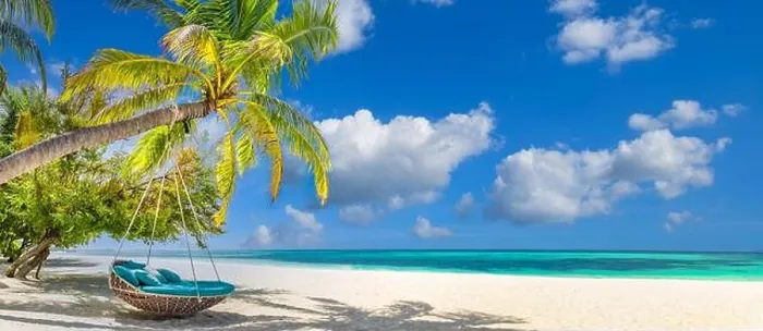 Framed Print : Tropical relax beach as summer island landscape with beach swing on palm, close to fantastic sea sand view. Amazing beach panorama vacation. Peaceful Framed Print : Tropical relax beach as summer island landscape with beach swing on palm, close to fantastic sea sand view. Amazing beach panorama vacation. Peaceful