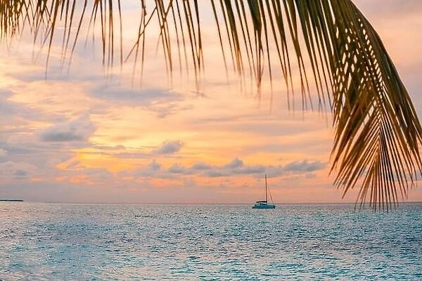 Tropical sunset with palm leaves framing a sailing boat, sunset sky reflection on the water. Summer recreational sport activity, sailing, yachting