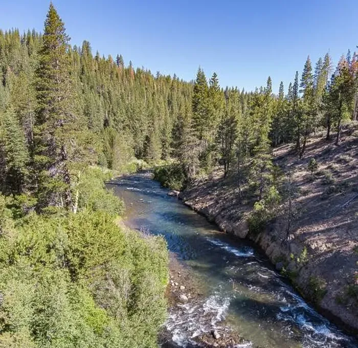 Framed Print : Truckee River whitewater winds through forest trees in Placer County California Framed Print : Truckee River whitewater winds through forest trees in Placer County California