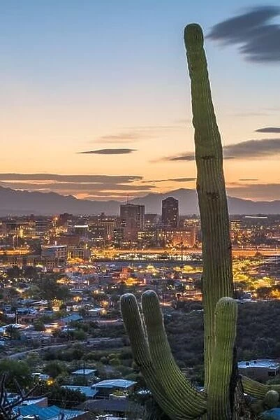 Tucson, Arizona, USA city skyline and cactus at dusk