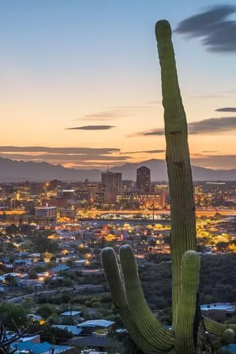 Framed Print : Tucson, Arizona, USA city skyline and cactus at dusk Framed Print : Tucson, Arizona, USA city skyline and cactus at dusk
