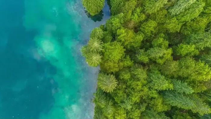 Framed Print : Turquoise Tranquility: Aerial View of Pine Trees Framed Print : Turquoise Tranquility: Aerial View of Pine Trees