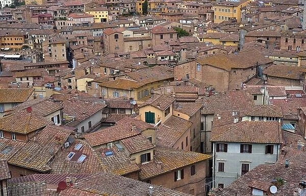 Tuscan old italian city of Siena, Italy. View on top of houses