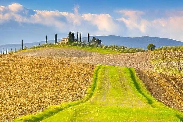 Tuscany landscape, Val d'Orcia, Italy
