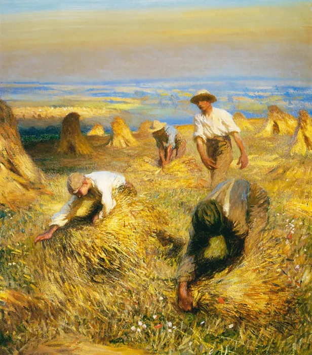 Framed Print : Tying The Sheaves 1902 painting by George Clausen of harvest time on the farm gathering up the corn Framed Print : Tying The Sheaves 1902 painting by George Clausen of harvest time on the farm gathering up the corn