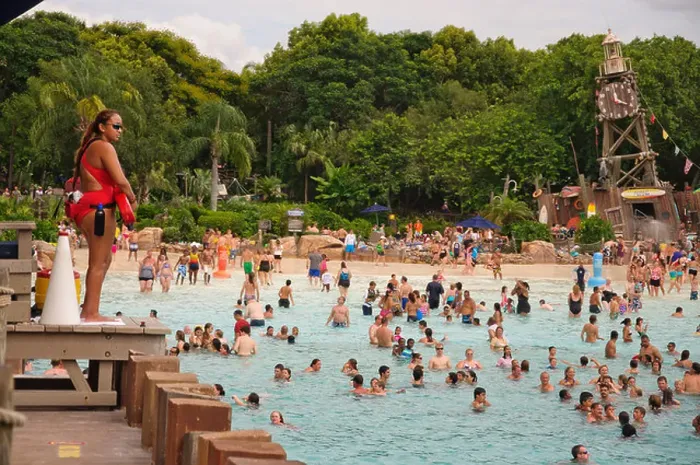 Framed Print : typhoon lagoon walt disney world resort parks lazy river water slides snorkeling swimming with fish lifeguards Framed Print : typhoon lagoon walt disney world resort parks lazy river water slides snorkeling swimming with fish lifeguards