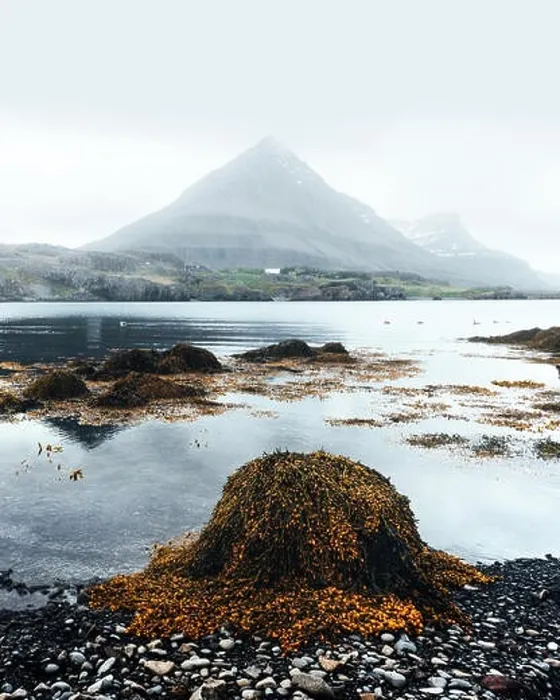 Framed Print : Typical Iceland landscape with ship Framed Print : Typical Iceland landscape with ship