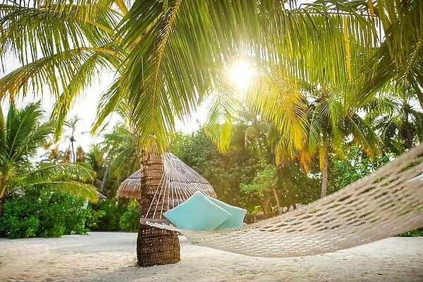 Ultimate relaxation, hanging hammock on palm tree with soft sun rays under palm leaves. Tropical island nature, paradise traveling destination, summer