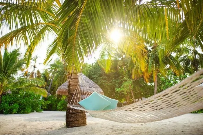 Framed Print : Ultimate relaxation, hanging hammock on palm tree with soft sun rays under palm leaves. Tropical island nature, paradise traveling destination, summer Framed Print : Ultimate relaxation, hanging hammock on palm tree with soft sun rays under palm leaves. Tropical island nature, paradise traveling destination, summer