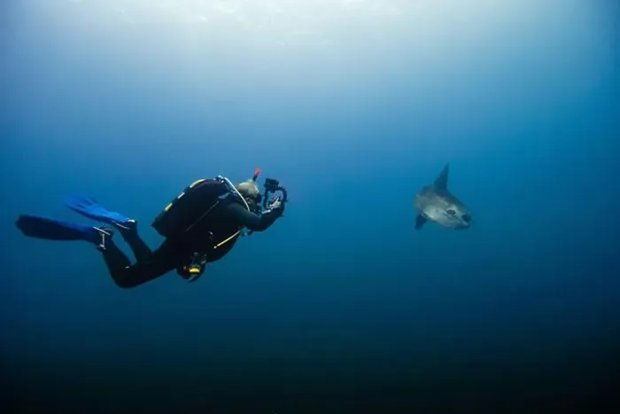 Framed Print : Underwater image of a male diver Framed Print : Underwater image of a male diver