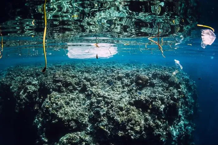 Framed Print : Underwater ocean with plastic and plastic bags, ecological problem
