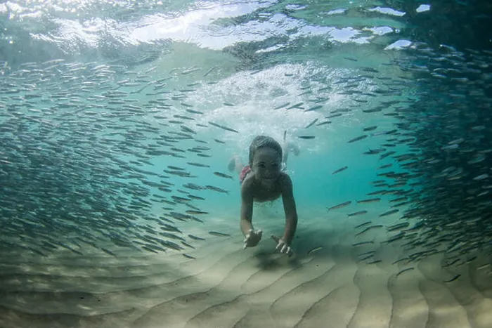 Framed Print : Underwater shot of boy swimming with shoal of fish Framed Print : Underwater shot of boy swimming with shoal of fish