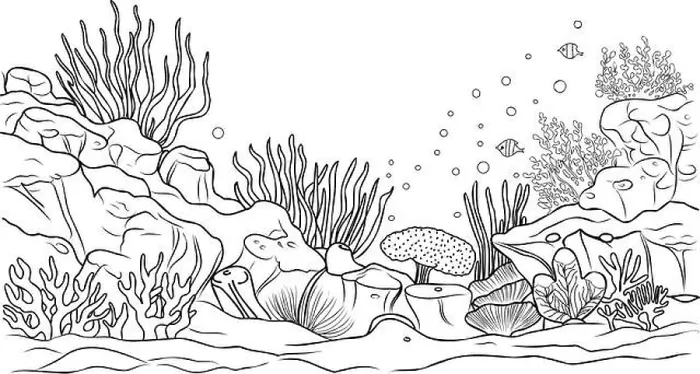 Framed Print : Underwater world coloring page. Coloring page life in the ocean with algae Framed Print : Underwater world coloring page. Coloring page life in the ocean with algae