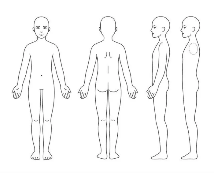 Framed Print : Unisex body anatomy chart, naked young person of undefined gender Framed Print : Unisex body anatomy chart, naked young person of undefined gender