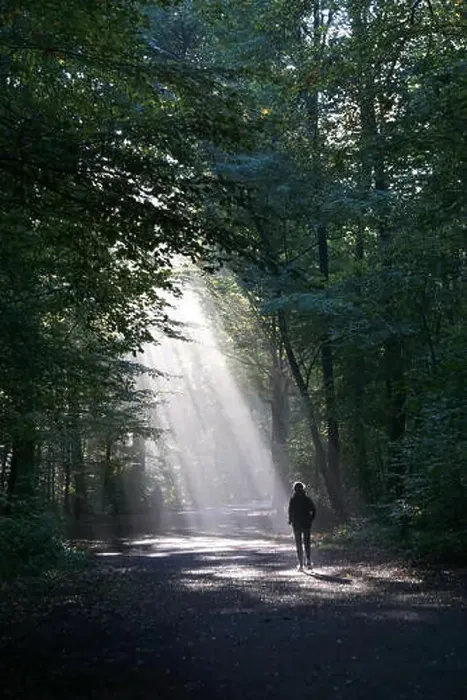 Framed Print : unrecognizable jogger running through dark wood silhouetted against shaft of sunlight Framed Print : unrecognizable jogger running through dark wood silhouetted against shaft of sunlight