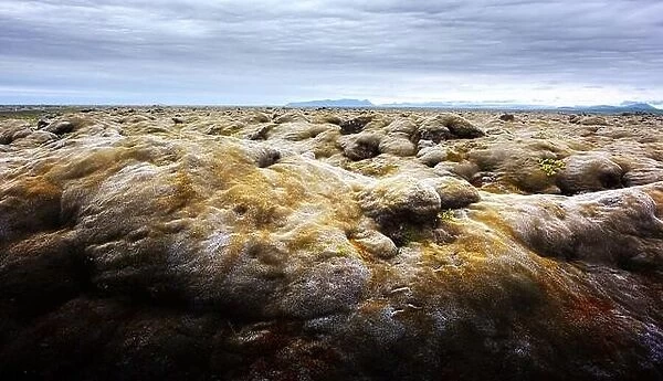 Unusual Iceland landscape with lava field covered with brown moss Eldhraun from volcano eruption and cloudy sky