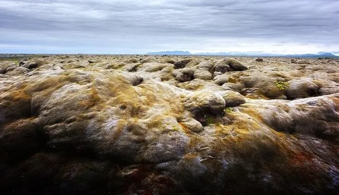 Framed Print : Unusual Iceland landscape with lava field covered with brown moss Eldhraun from volcano eruption and cloudy sky Framed Print : Unusual Iceland landscape with lava field covered with brown moss Eldhraun from volcano eruption and cloudy sky