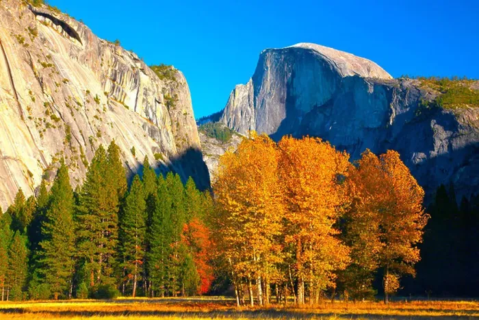 Framed Print : USA, California, Yosemite National Park, Half Dome above fall foliage in Ahwahnee meadow Framed Print : USA, California, Yosemite National Park, Half Dome above fall foliage in Ahwahnee meadow