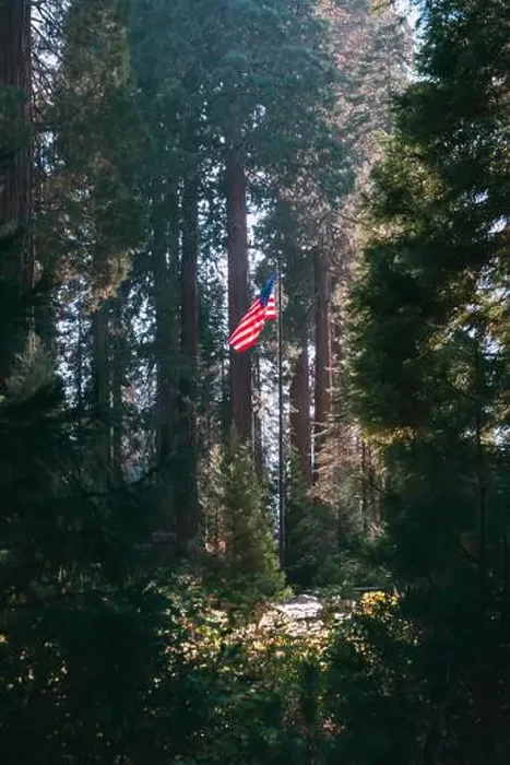 Framed Print : USA flag, Sequoia National Park Framed Print : USA flag, Sequoia National Park