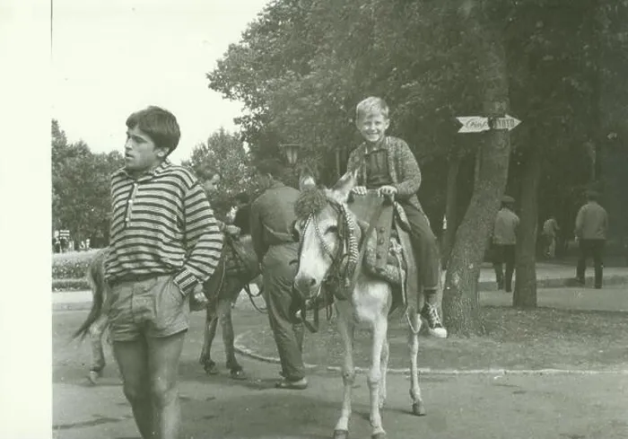 Framed Print : USSR - CIRCA 1970s: Retro photo shows boy rides on donkey in the park. Vintage black & white photography Framed Print : USSR - CIRCA 1970s: Retro photo shows boy rides on donkey in the park. Vintage black & white photography