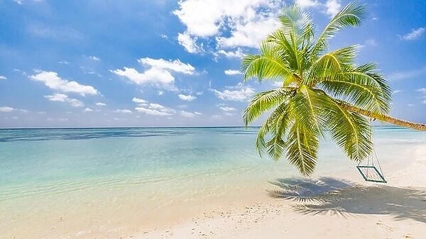 Vacation beach, palm over blue sea, idyllic tropical landscape with blue sky and clouds. Resort