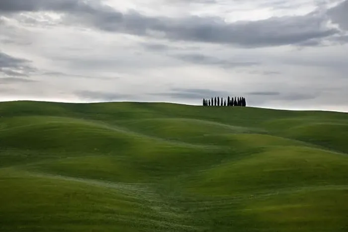 Framed Print : Val d'Orcia famous cypress trees on a cloudy and overcast day. Tuscany, Italy Framed Print : Val d'Orcia famous cypress trees on a cloudy and overcast day. Tuscany, Italy