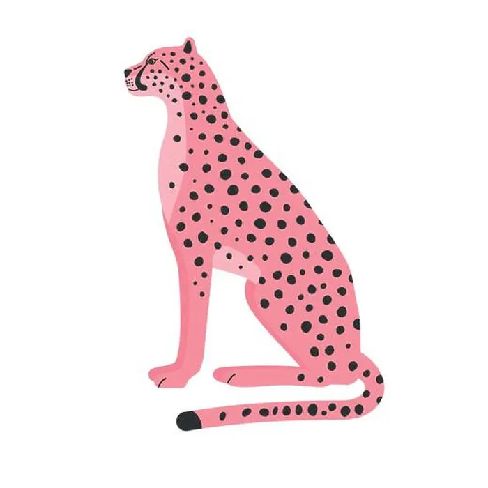 Framed Print : Vector hand drawn flat pink sitting cheetah isolated on white background Framed Print : Vector hand drawn flat pink sitting cheetah isolated on white background