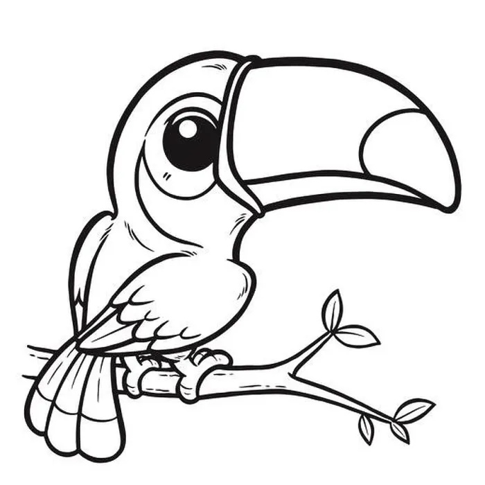Framed Print : Vector illustration of Cartoon Hornbill - Coloring book for kids Framed Print : Vector illustration of Cartoon Hornbill - Coloring book for kids