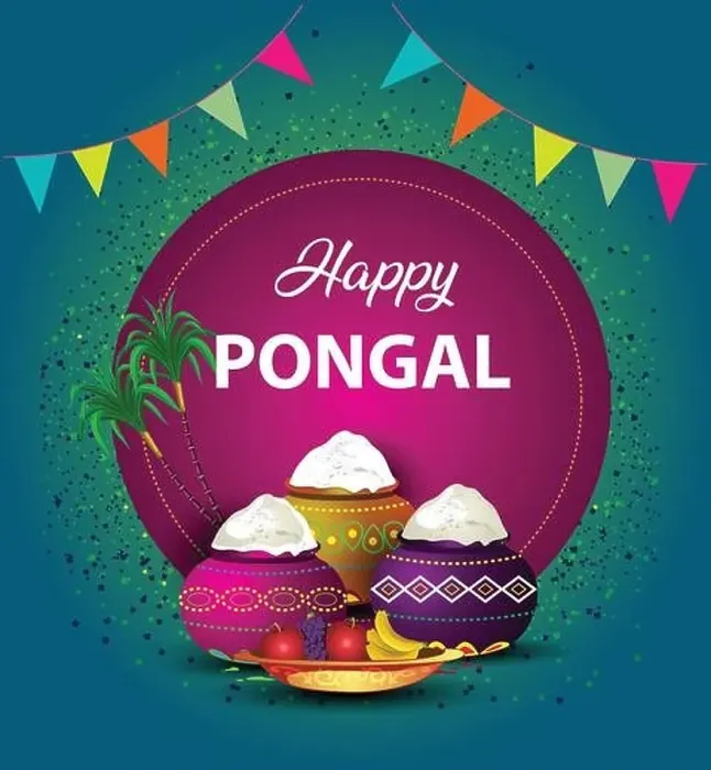 Framed Print : Vector illustration design of Tamil nadu festival of Happy Pongal celebration. poster, banner, template background Framed Print : Vector illustration design of Tamil nadu festival of Happy Pongal celebration. poster, banner, template background