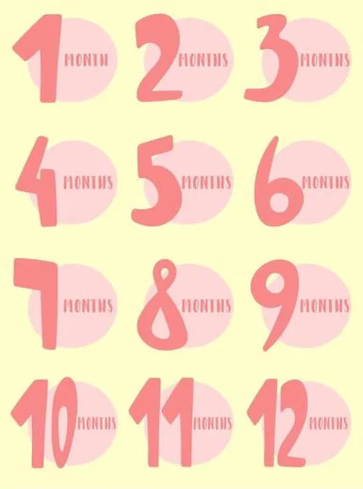 Framed Print : Vector image of 12 months for the baby girl Framed Print : Vector image of 12 months for the baby girl
