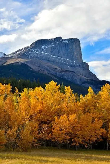Framed Print : A vertical autumn landscape image of Roche Miette mountain standing tall at the entrance to Jasper National Park Framed Print : A vertical autumn landscape image of Roche Miette mountain standing tall at the entrance to Jasper National Park