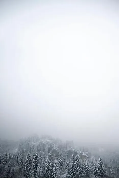 Framed Print : vertical background with snow covered forest trees with foggy gradient in white upwards