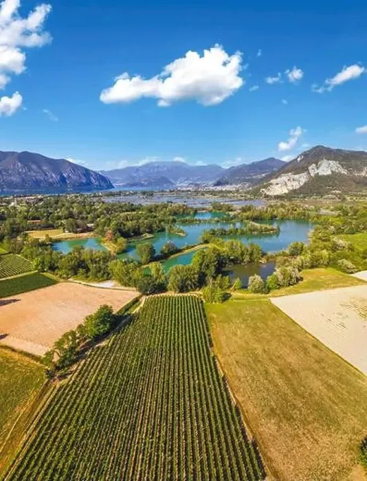 Framed Print : Vertical panoramic aerial view of Franciacorta countryside in summer season Framed Print : Vertical panoramic aerial view of Franciacorta countryside in summer season