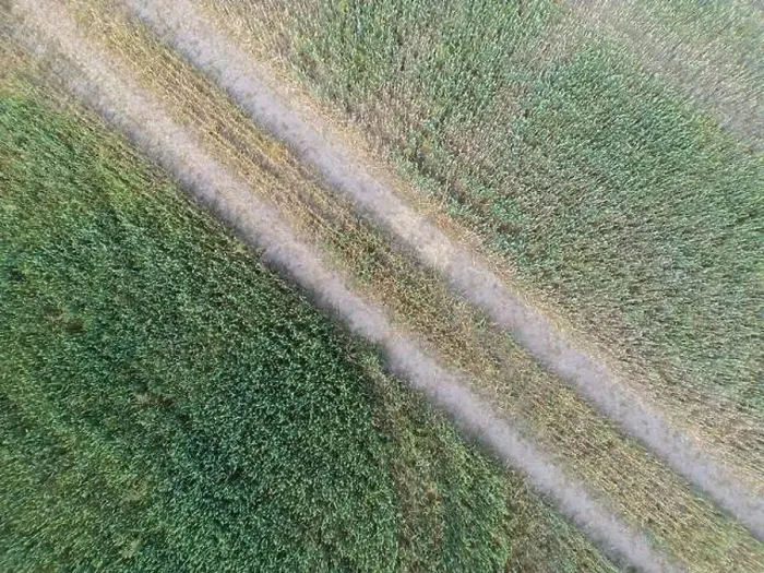 Framed Print : Vertical stripes of agricultural parcels of different crops. Aerial view shoot from drone directly above field Framed Print : Vertical stripes of agricultural parcels of different crops. Aerial view shoot from drone directly above field