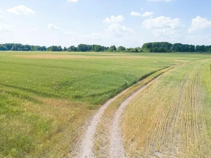 Framed Print : Vertical stripes of agricultural parcels of different crops. Aerial view shoot from drone directly above field Framed Print : Vertical stripes of agricultural parcels of different crops. Aerial view shoot from drone directly above field