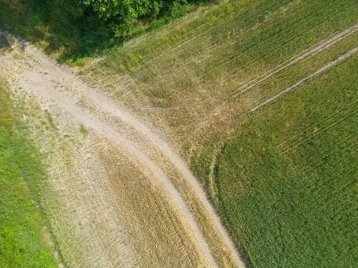 Framed Print : Vertical stripes of agricultural parcels of different crops. Aerial view shoot from drone directly above field Framed Print : Vertical stripes of agricultural parcels of different crops. Aerial view shoot from drone directly above field