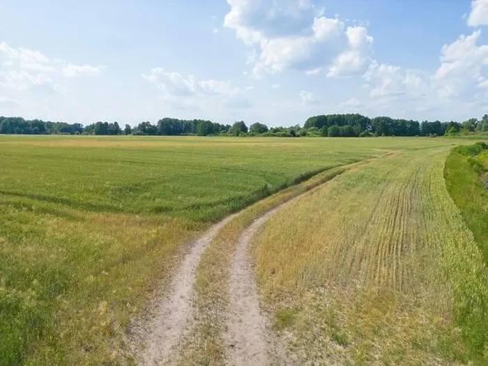 Framed Print : Vertical stripes of agricultural parcels of different crops. Aerial view shoot from drone directly above field Framed Print : Vertical stripes of agricultural parcels of different crops. Aerial view shoot from drone directly above field