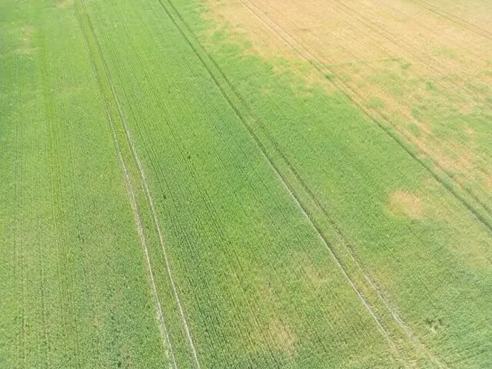 Framed Print : Vertical stripes of agricultural parcels of different crops. Aerial view shoot from drone directly above field Framed Print : Vertical stripes of agricultural parcels of different crops. Aerial view shoot from drone directly above field
